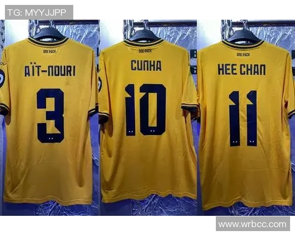 探索WF足球角色的魅力与战术运用全解析